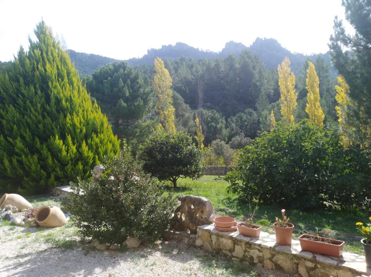 Cortijo Del Cuco Villa Riopar Bagian luar foto
